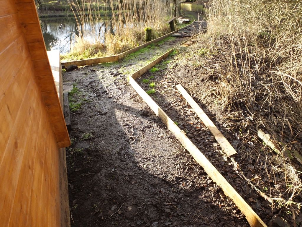 Logs added to the cabin path
