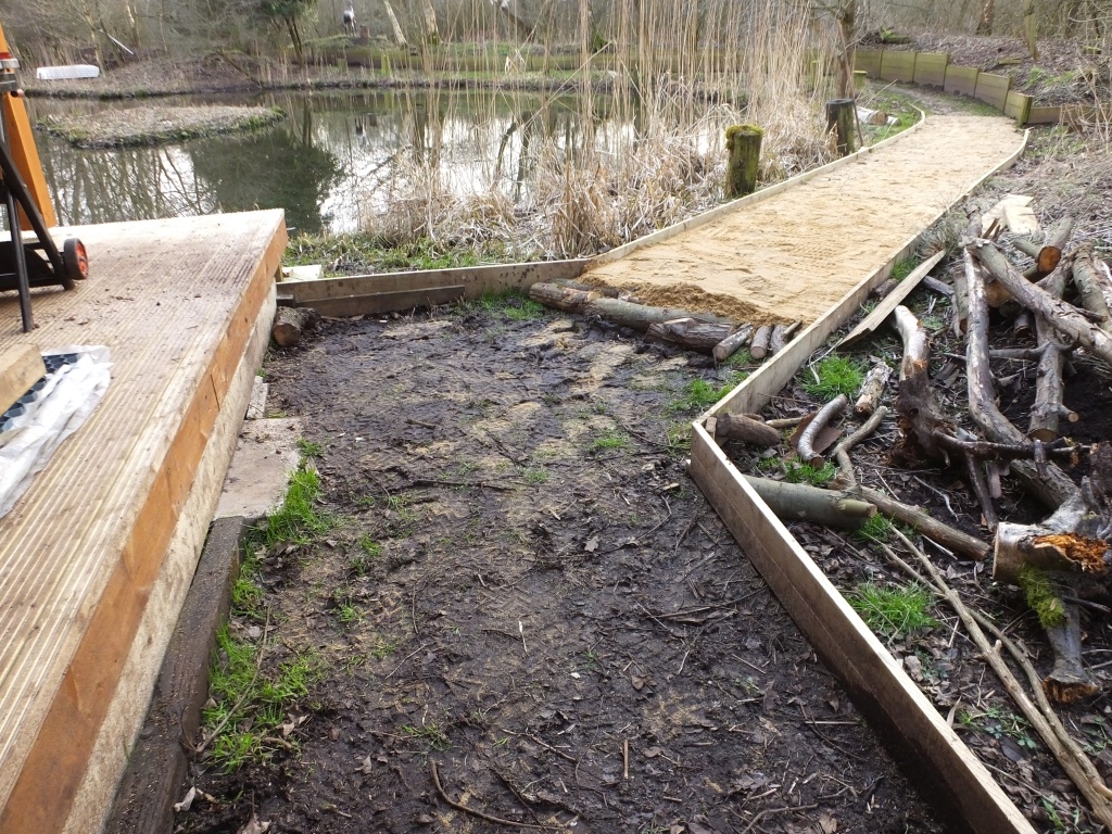 Cabin Path Logs and Edging