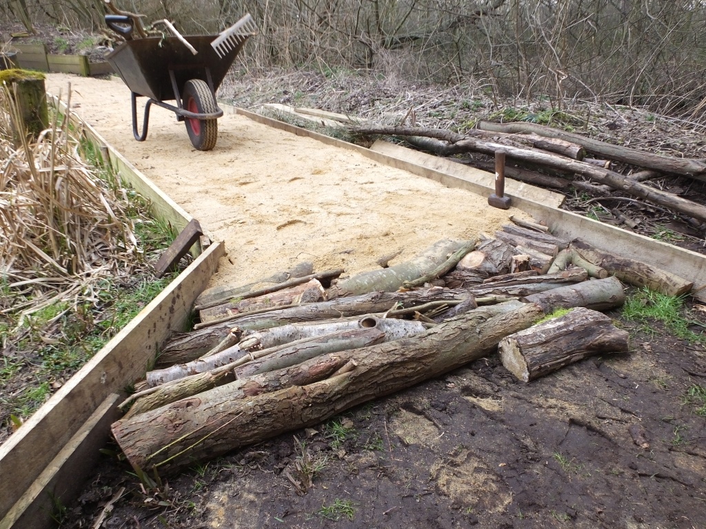 Cabin Path Logs and Edging