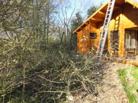 Trimmings collect beside the path to The Manna