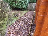 The Path Behind the Cabin