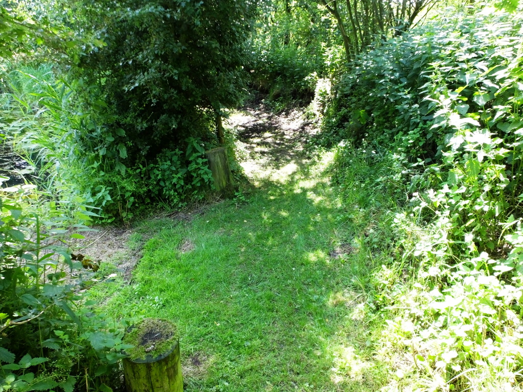 Another Fishing Stand