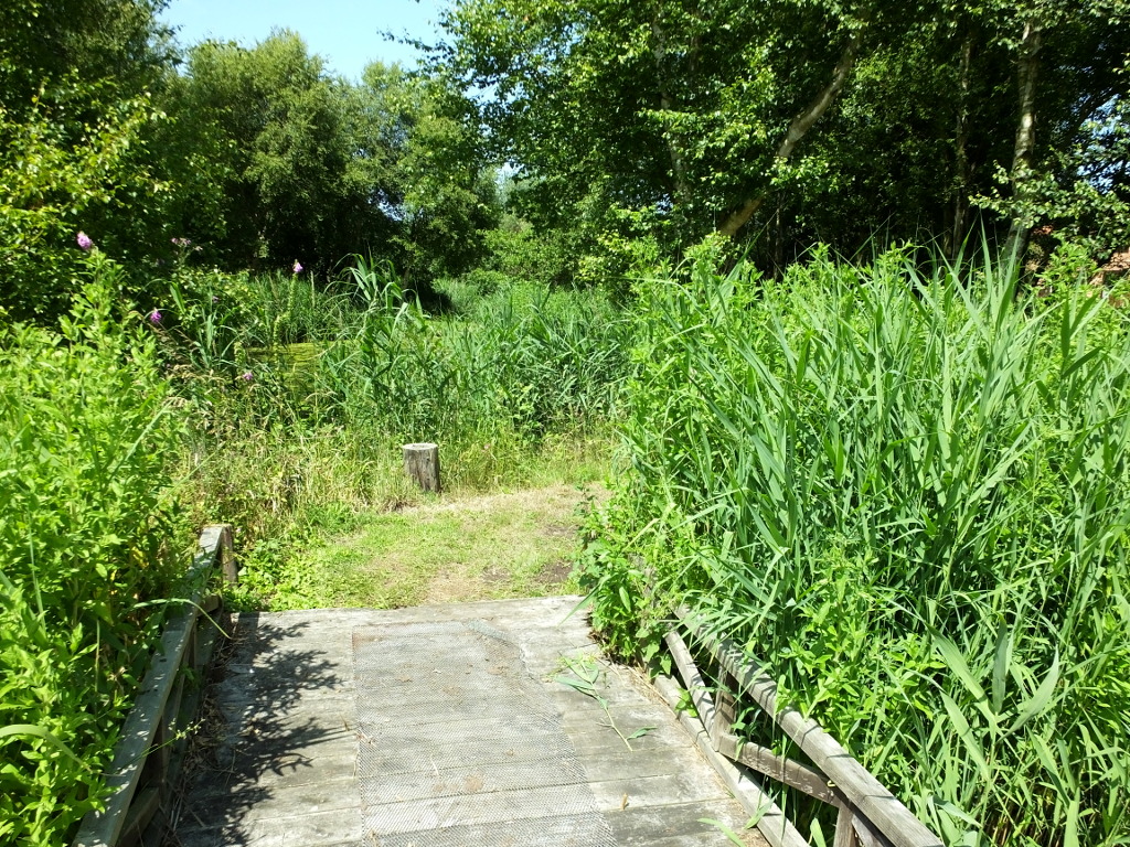 The Turn off the Bridge