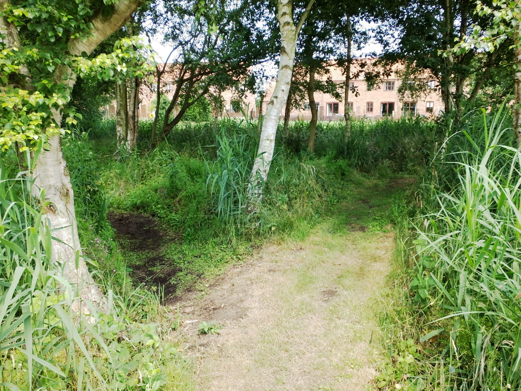 First Island Junction