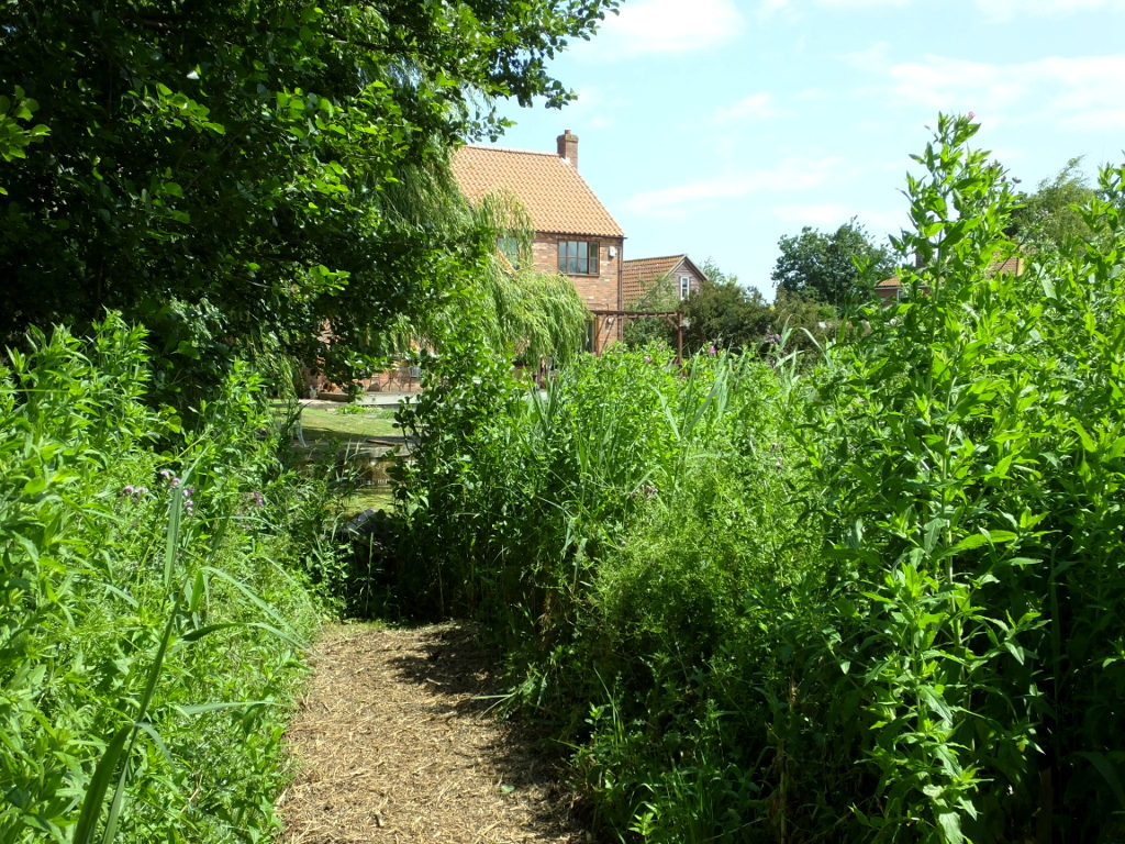Path to the Duck House