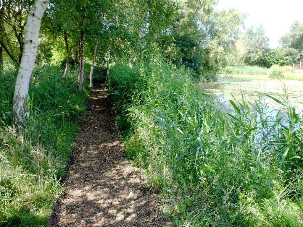 Path Facing Cottages