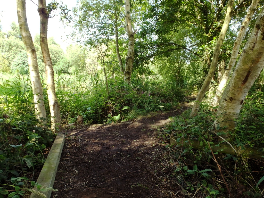 Final Island Junction