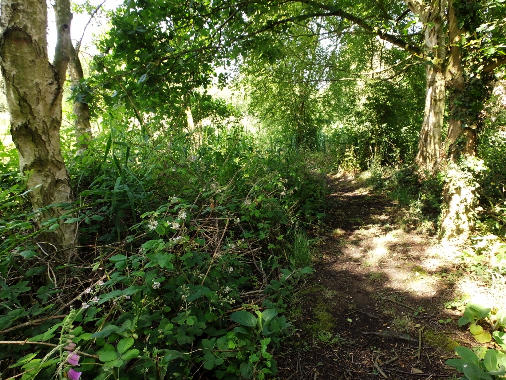 Towards the Northern Tip