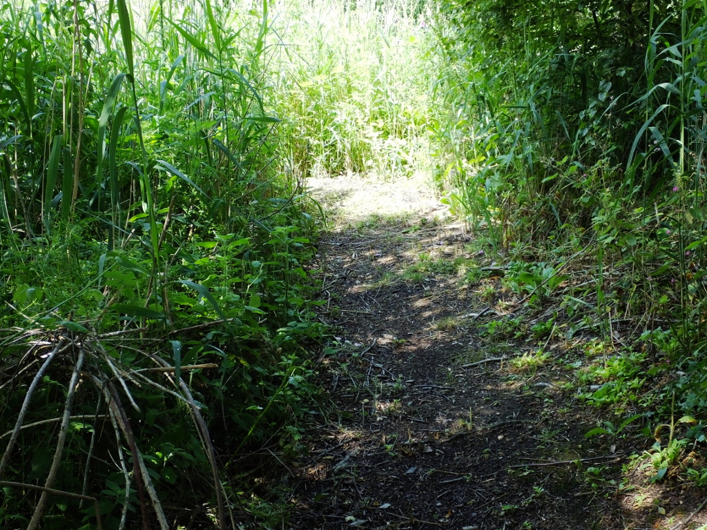 Reaching the Northern Tip