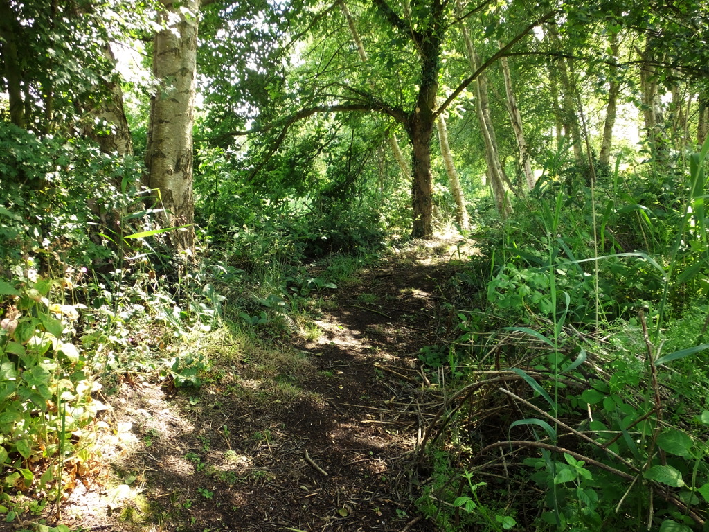 Returning from the Tip of the Island