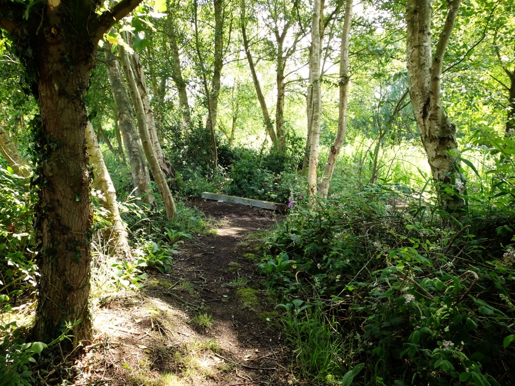 Approaching the Junction