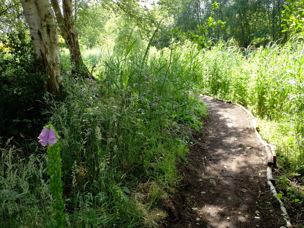 Continuing on the Circular Path