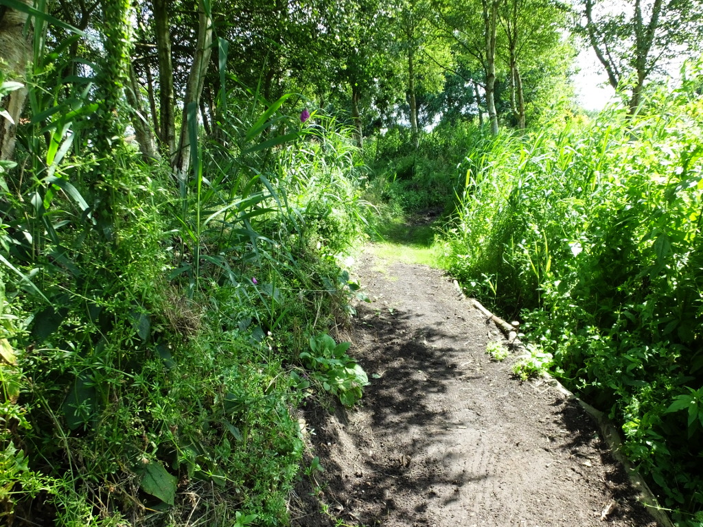 Further Round The Bend