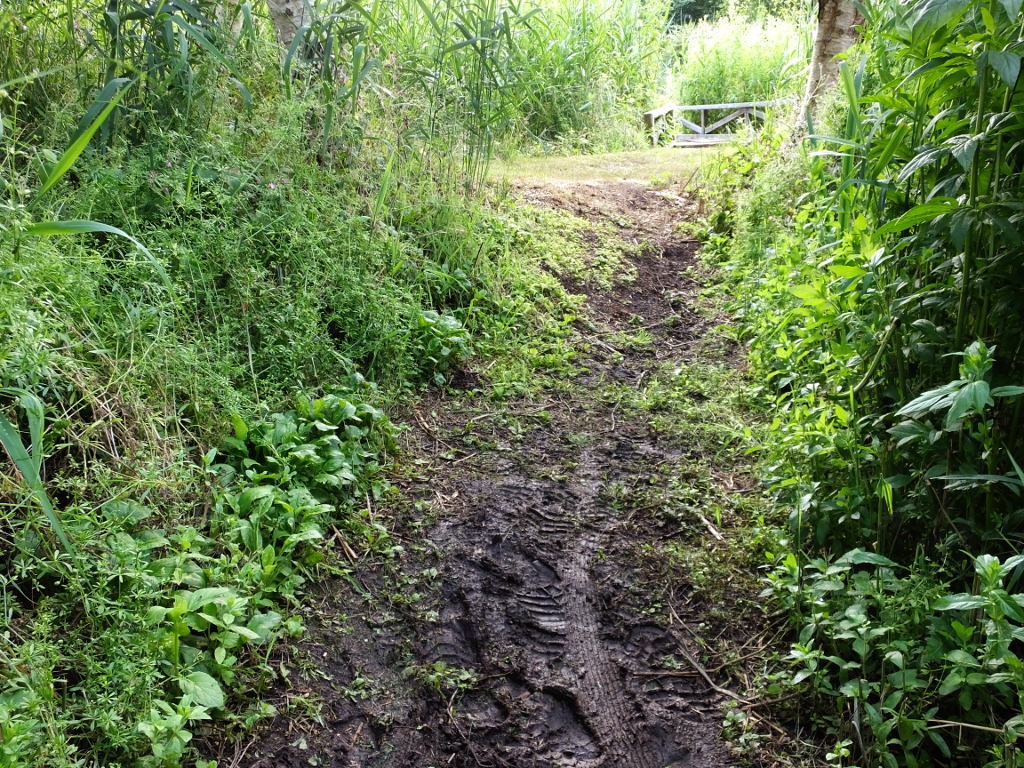 End of Boggy Path
