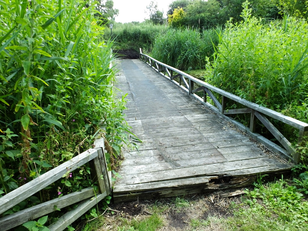 Back Across The Bridge