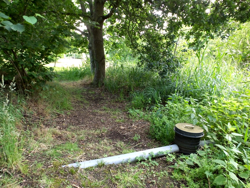 Reedbed Outfall Pipe