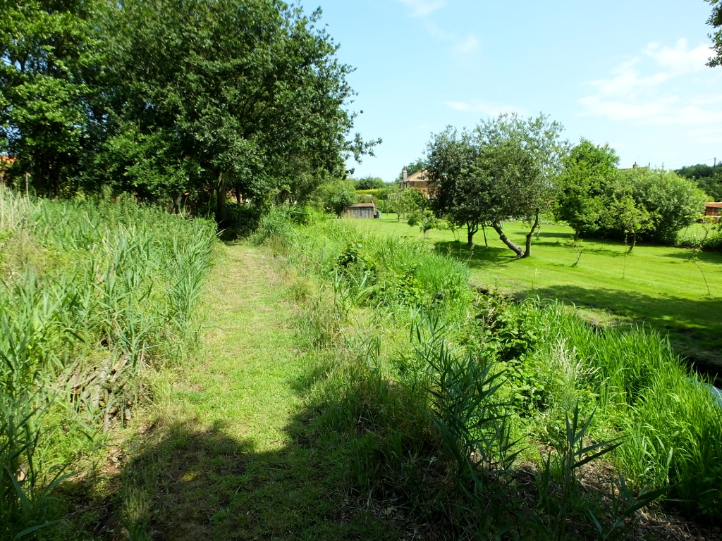 Overlooking the Neighbours Field
