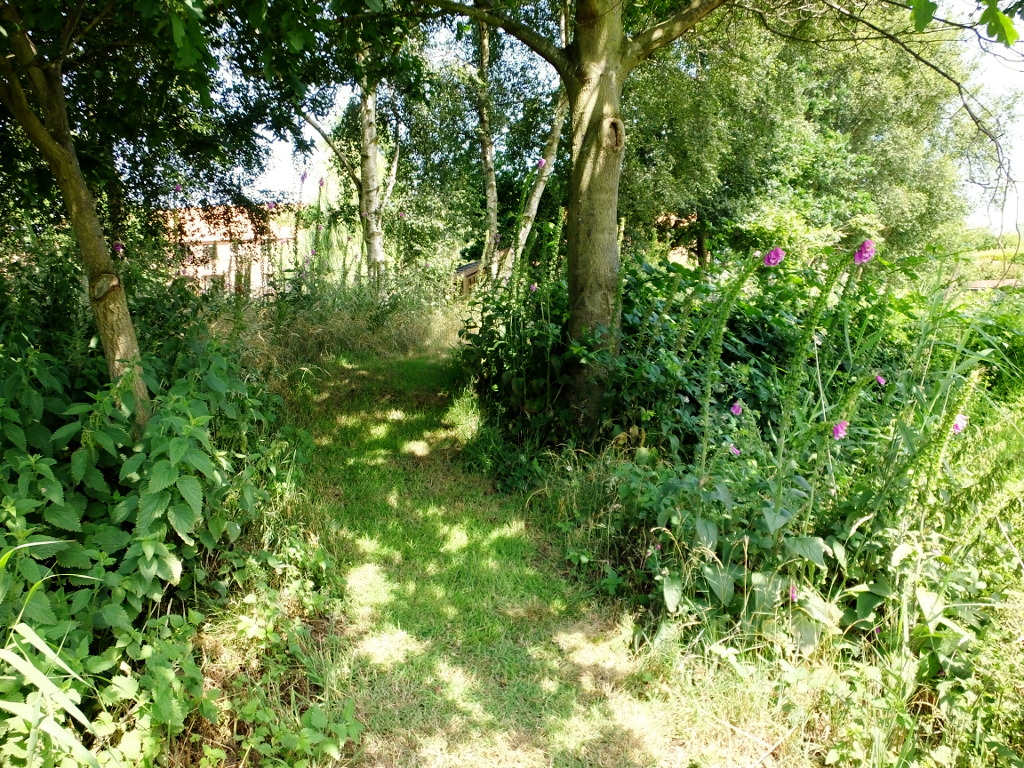 The Wiggle In The Path