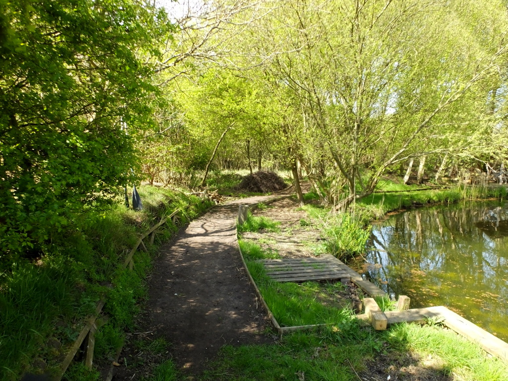 Proceeding From The Bridge
