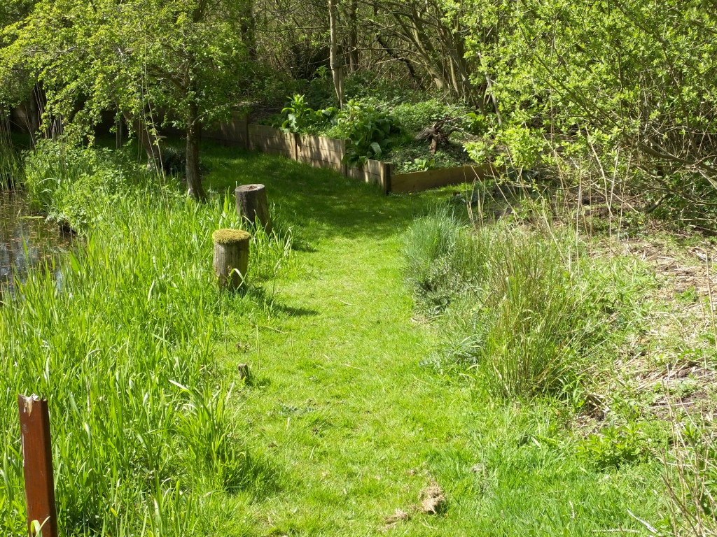 Returning To The New Path Junction