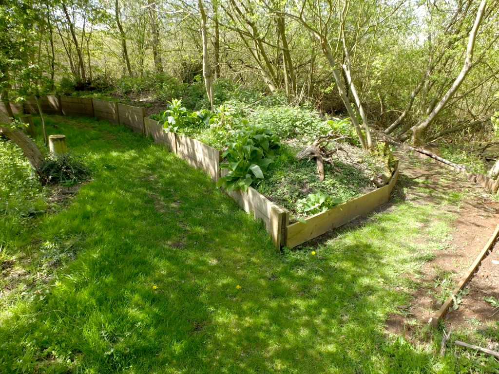 At The New Path Junction