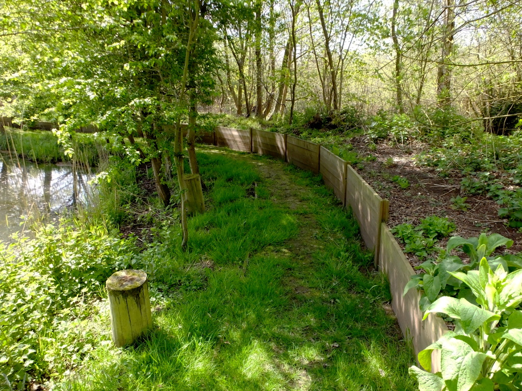 The Curve Around The Lake