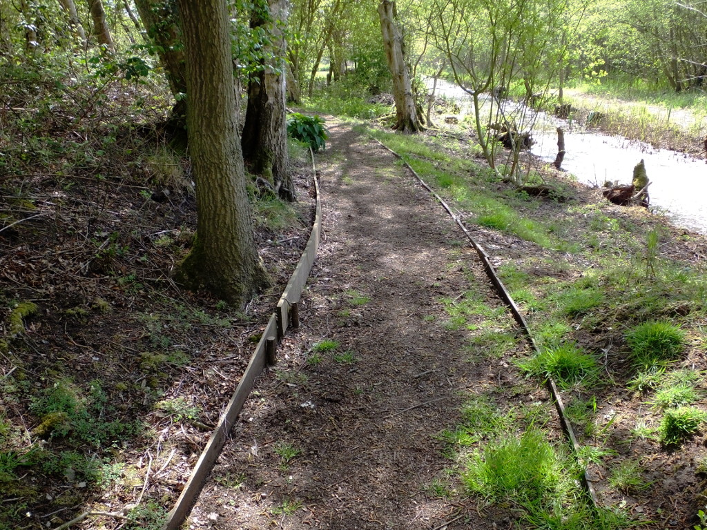 Return Beside The Dyke