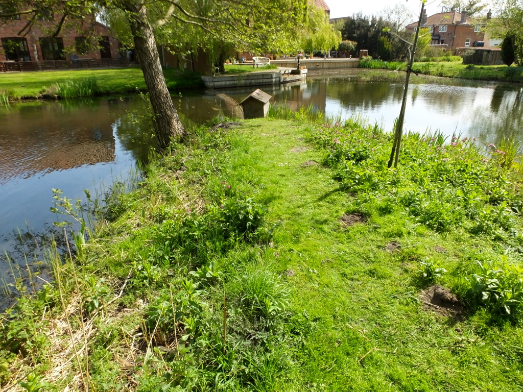 Path to the Duck House