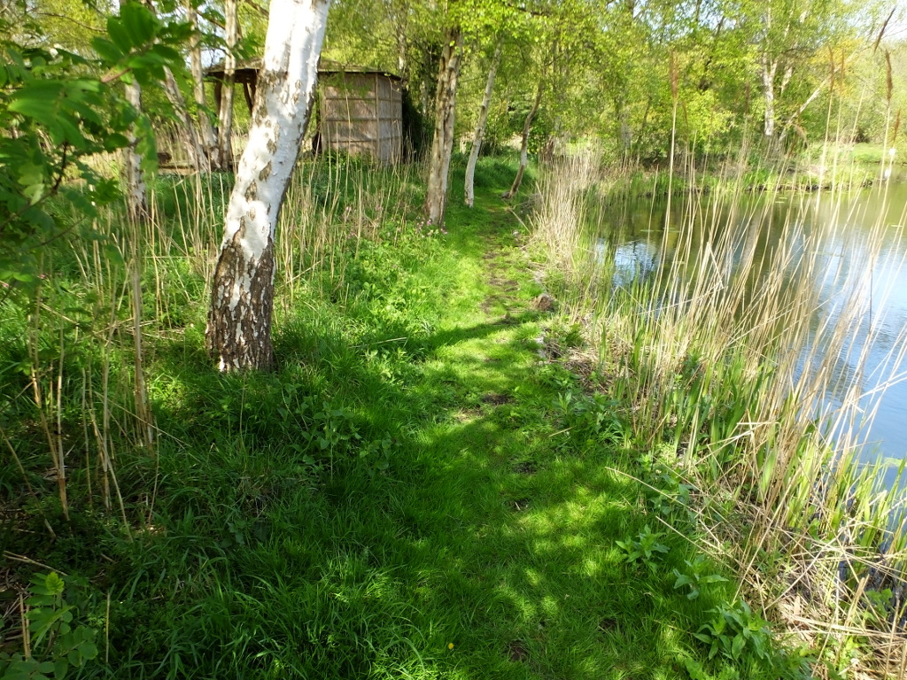 Path Facing Cottages