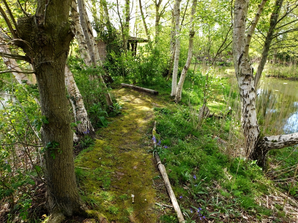 Approaching the Junction