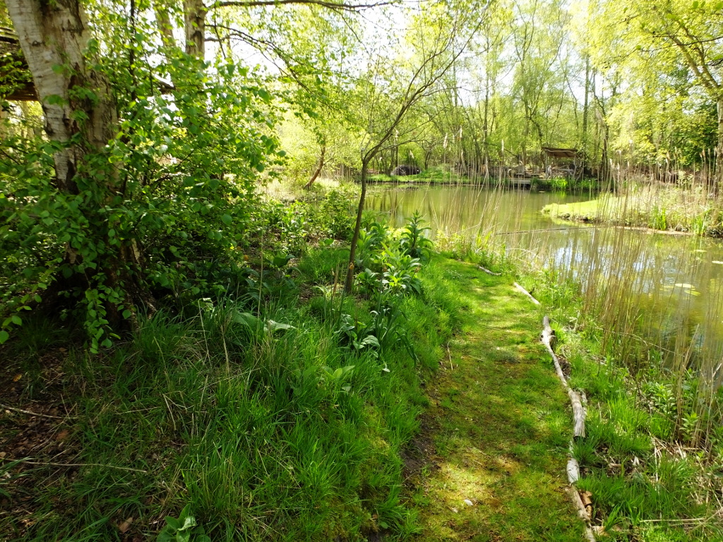 Continuing on the Circular Path