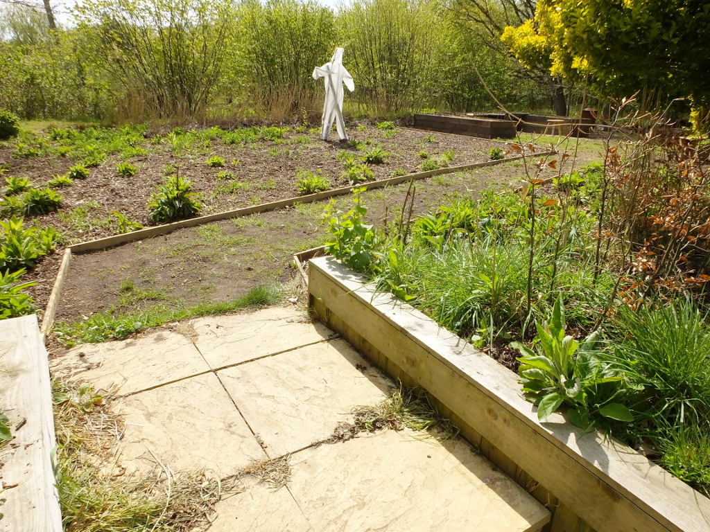 The Steps To The Reed Bed