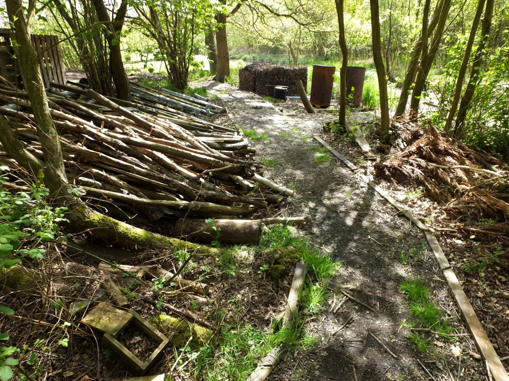 At The Rear of the Reed Bed