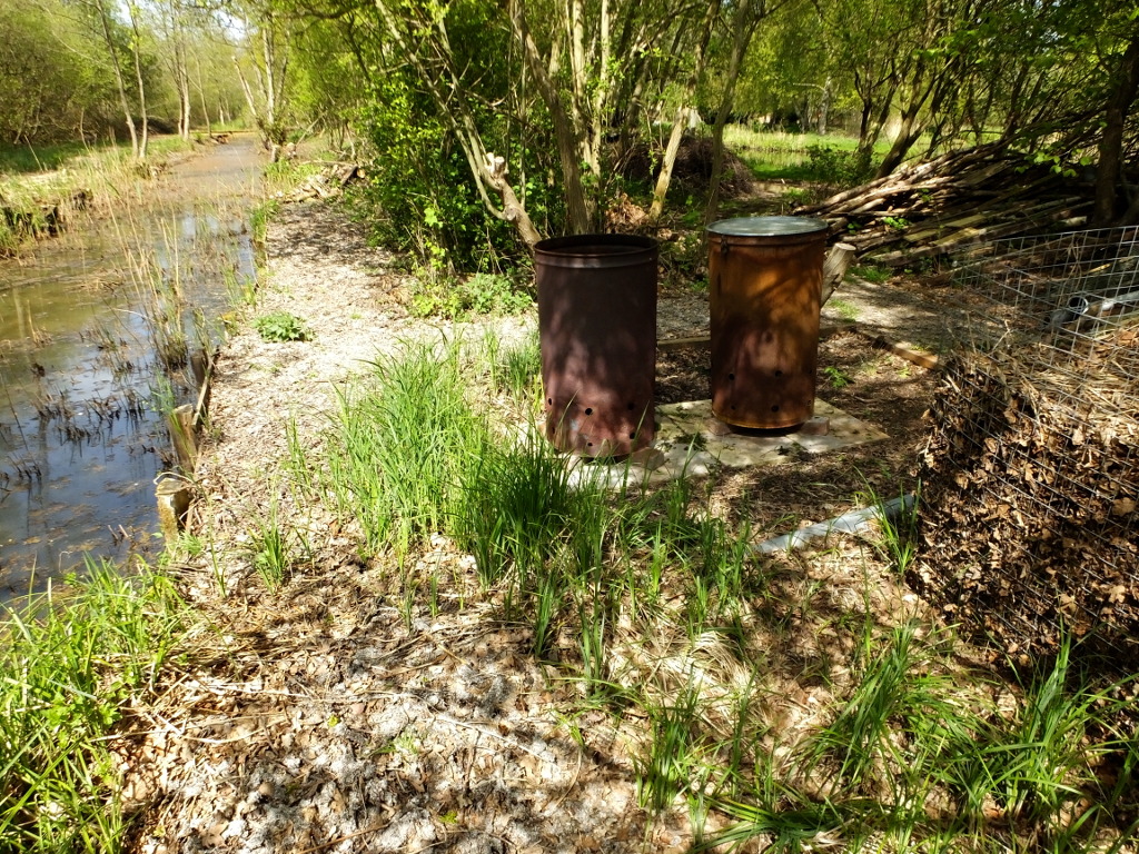 Looking North Along the Dyke