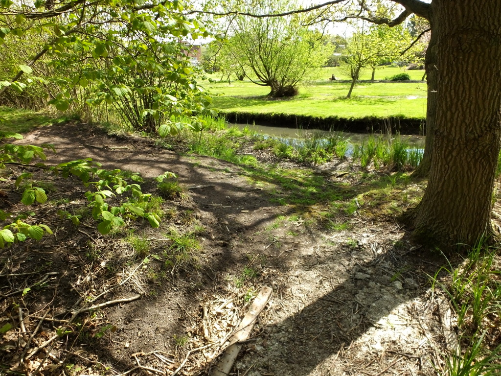 The South Eastern Corner Of The
	Grounds