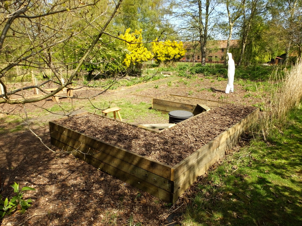 The Raised Bed