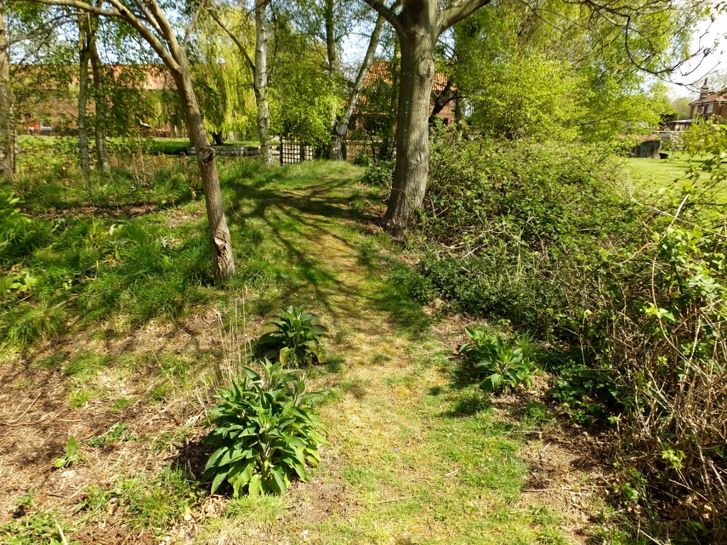 The Wriggle In The Path