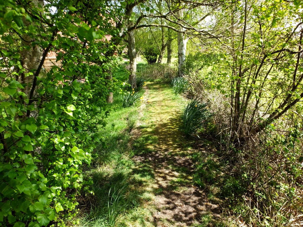 Lake Comes Into View