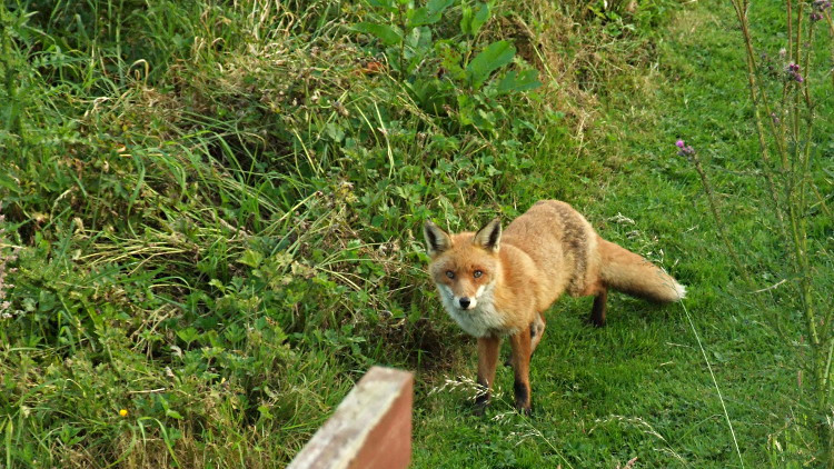 Today's Ruston House Image