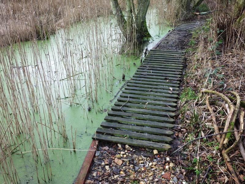 High Water Level In Dyke
	14:05:39