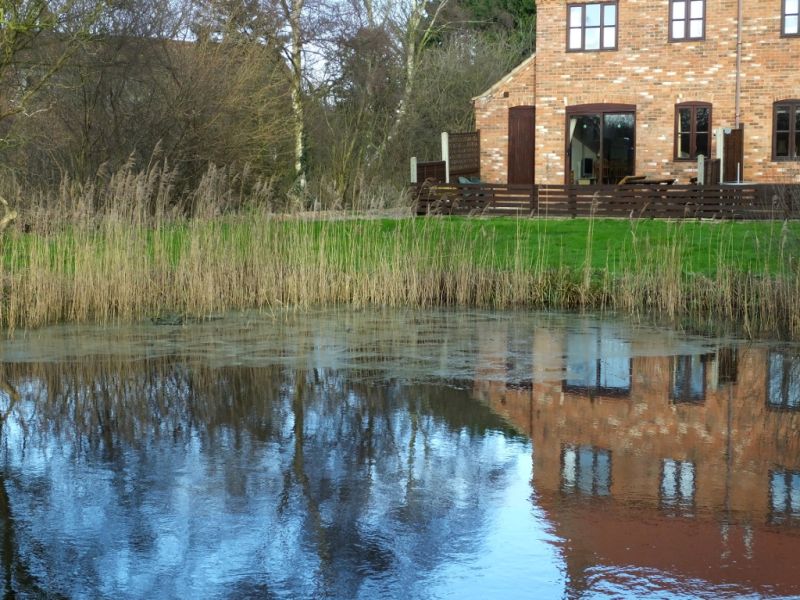 Weed on the Lake
	14:01:06