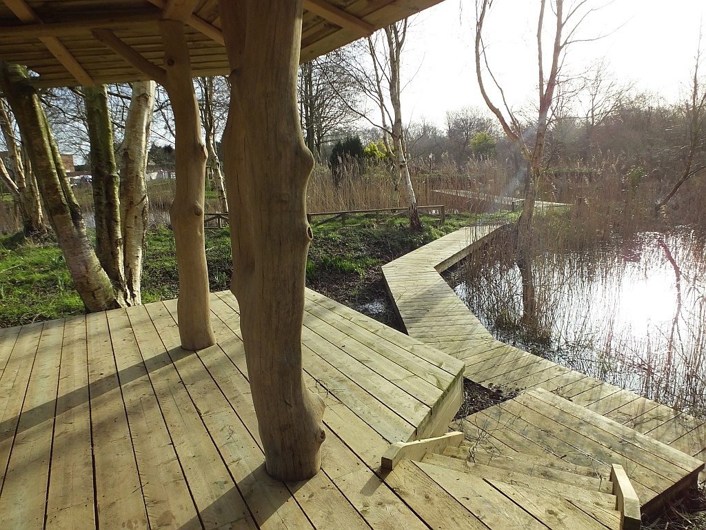 View from Tree House 13:37