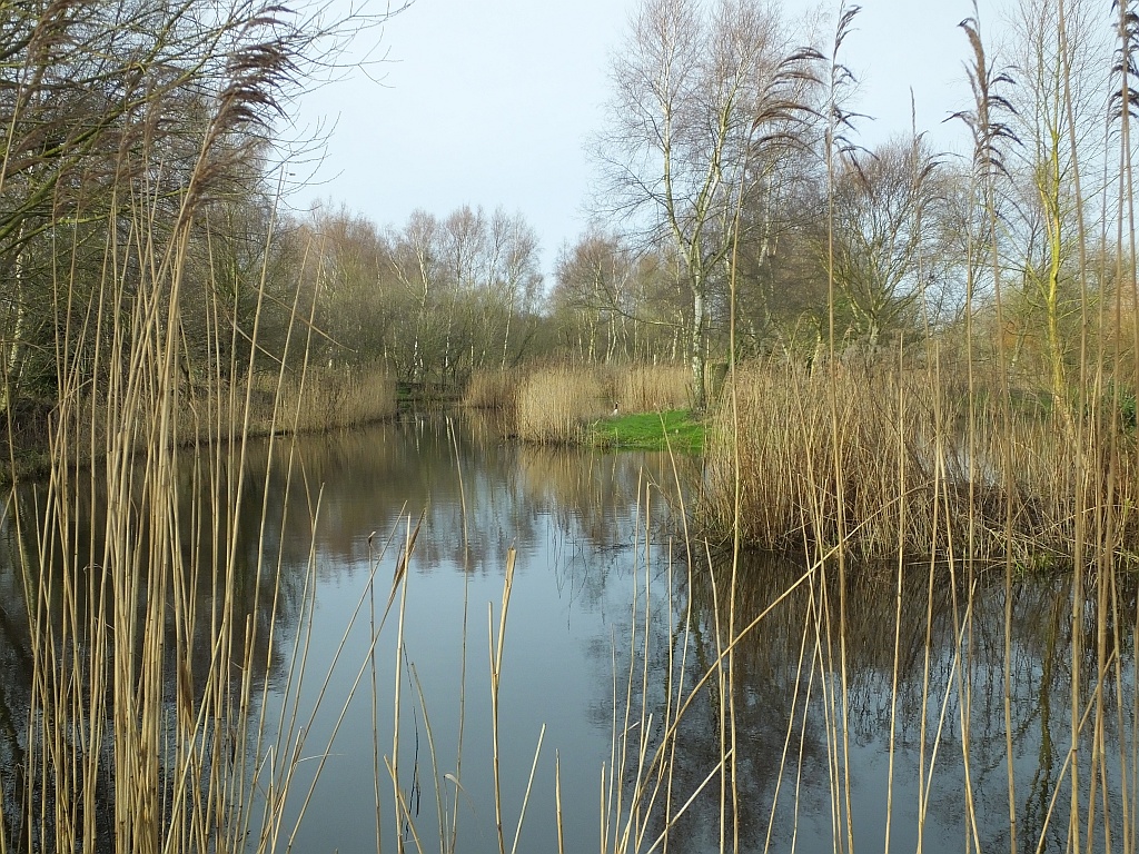 Western Arm of Lake 13:43