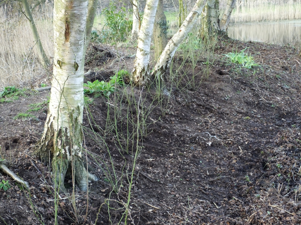 Cleared bank and hedge
