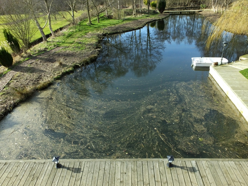 Lake Weed