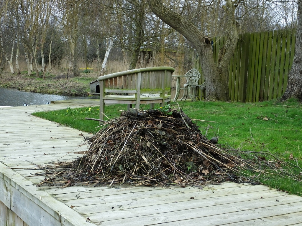 Lake Weed Removed