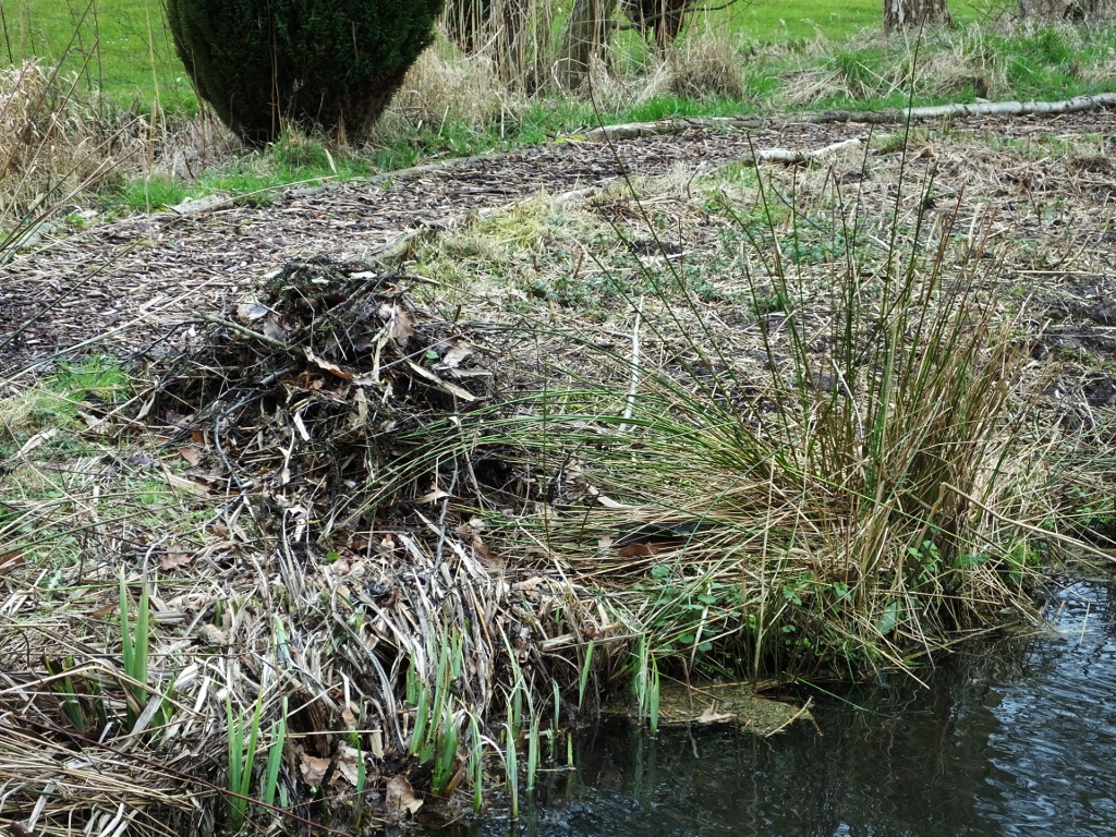 Lake Weed Removed