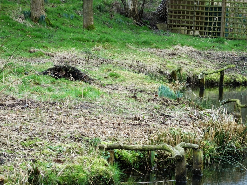 Lake Weed Removed