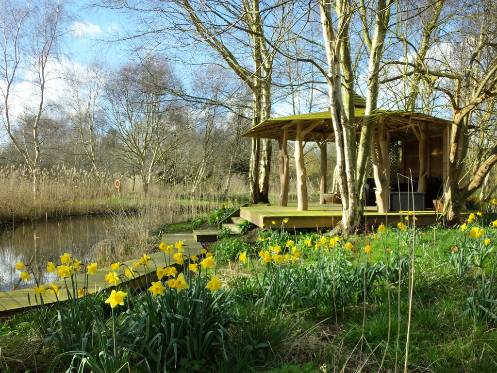 Daffodils and Tree
	House