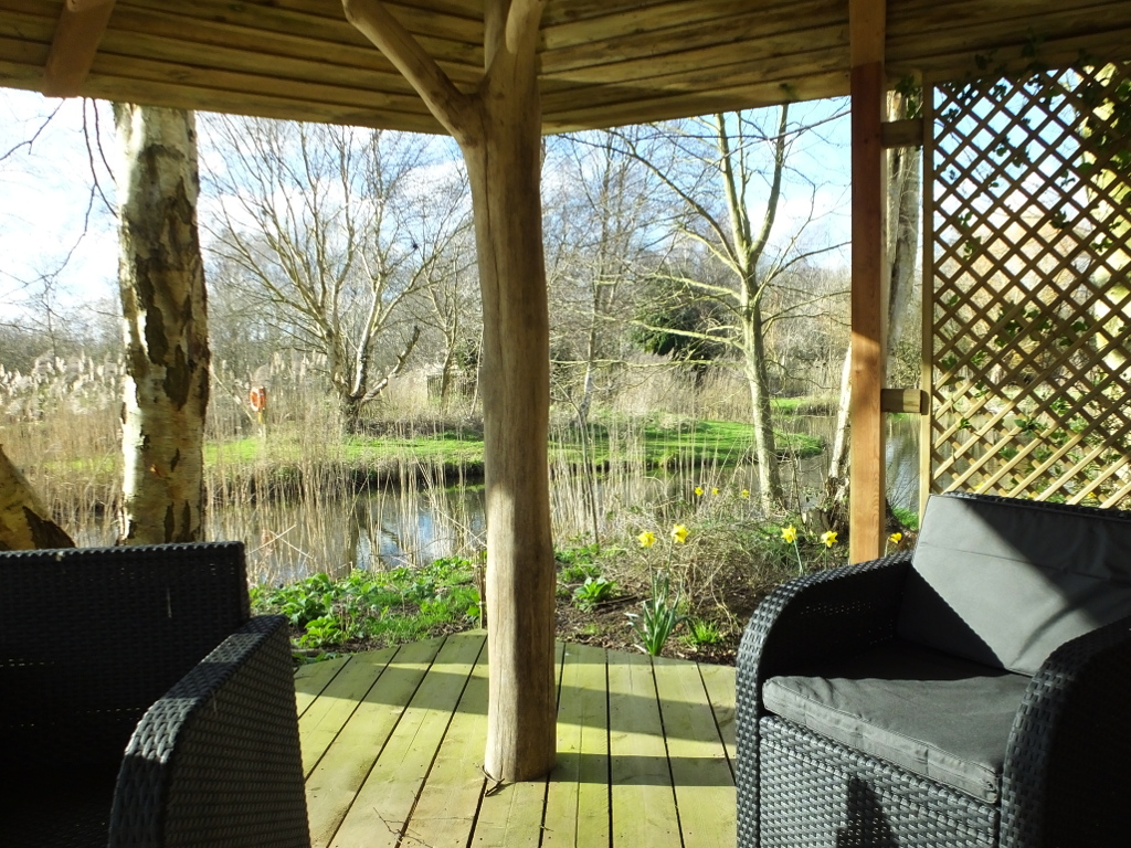 Daffodils and Tree
	House